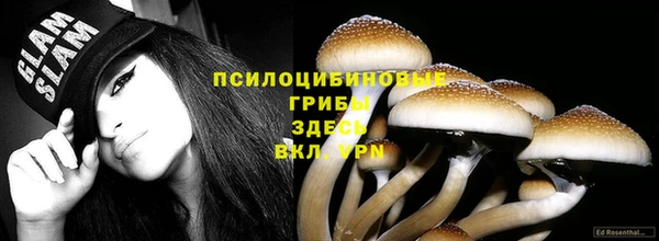 герыч Инта