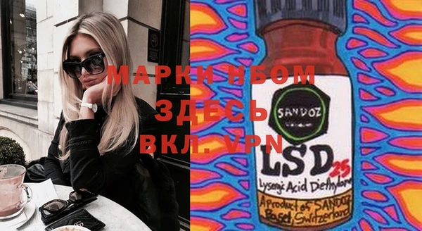 индика Чегем