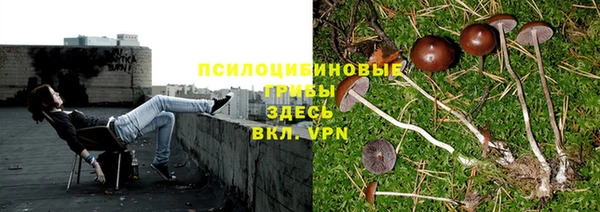 MESCALINE Инсар
