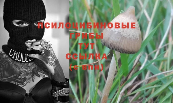 MESCALINE Инсар